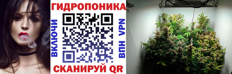 Где можно купить наркотики Новопавловск Псилоцибиновые грибы  Alpha-PVP  NBOMe  Бошки Шишки  Гашиш 
