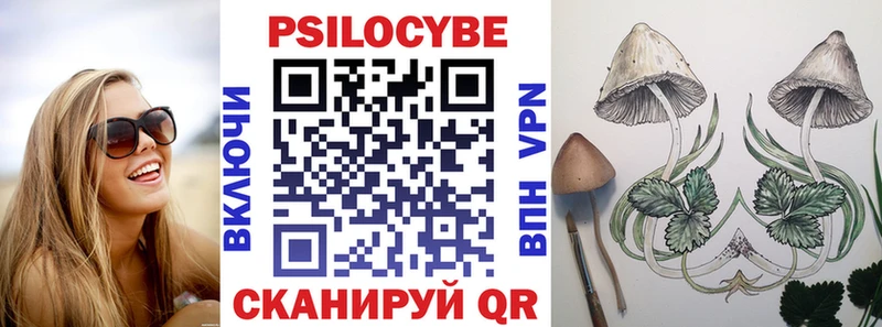 Галлюциногенные грибы GOLDEN TEACHER  магазин продажи наркотиков  Новопавловск 